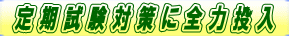 定期試験対策に全力投入